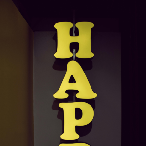Dimensional Letters Design Houston TX